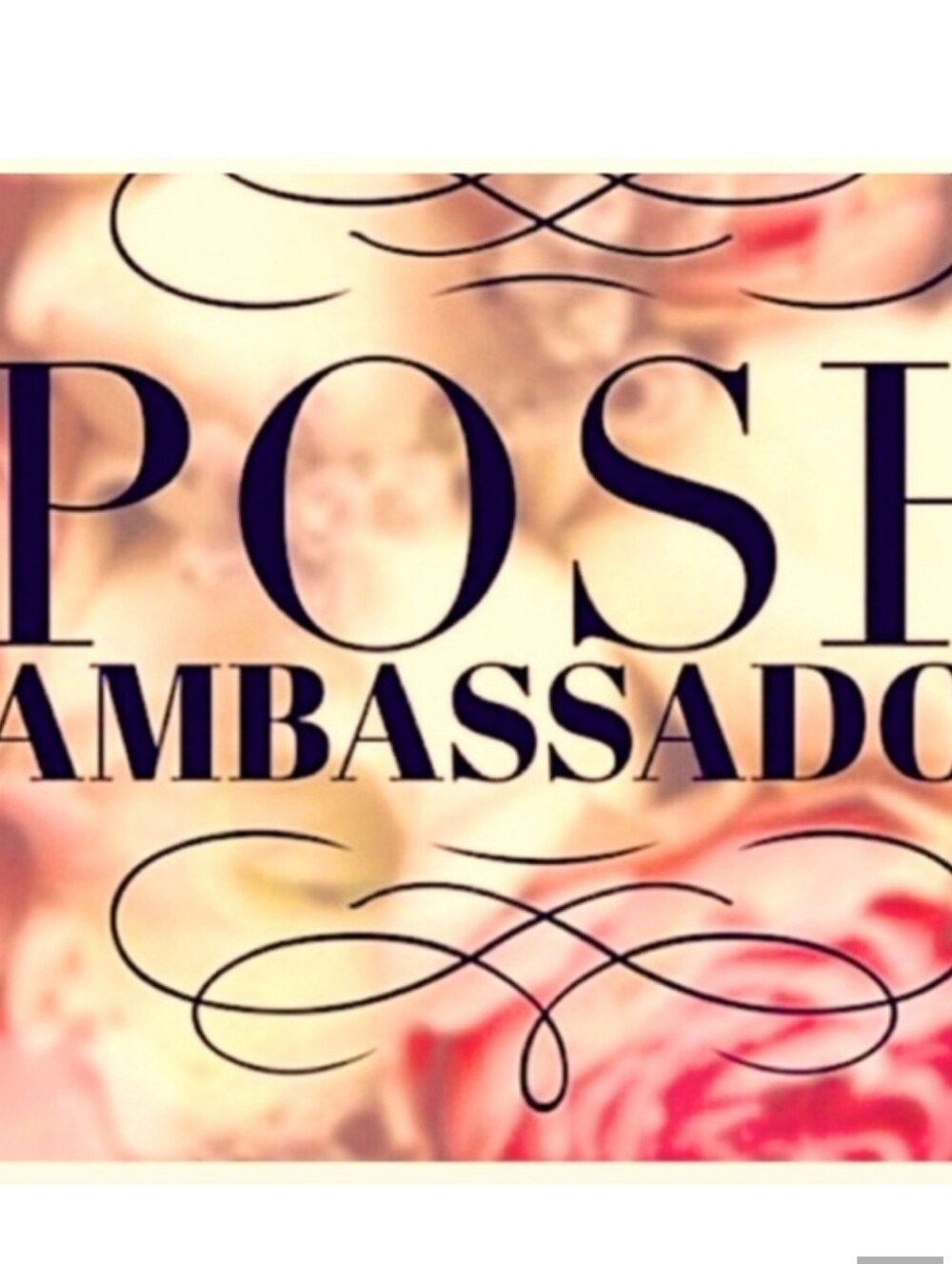 Posh Ambassador